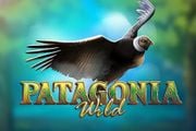 Patagonia Wilds